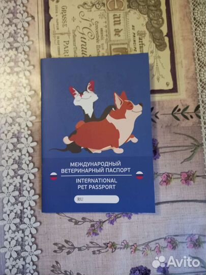 Собака турецкий алабай, щенок 8 месяцев