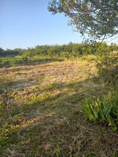 Дом 60 м² на участке 15 сот.