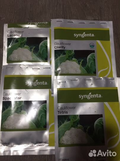 Рассада овощных культур (баклажан,помидор,перец)