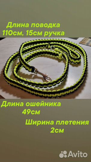 Ошейник и поводок