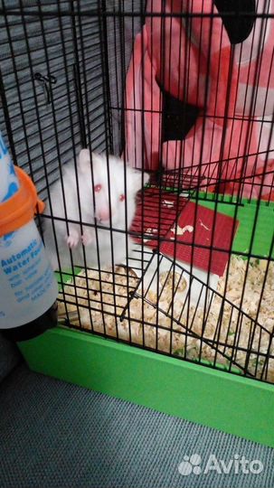 Клетка для грызунов