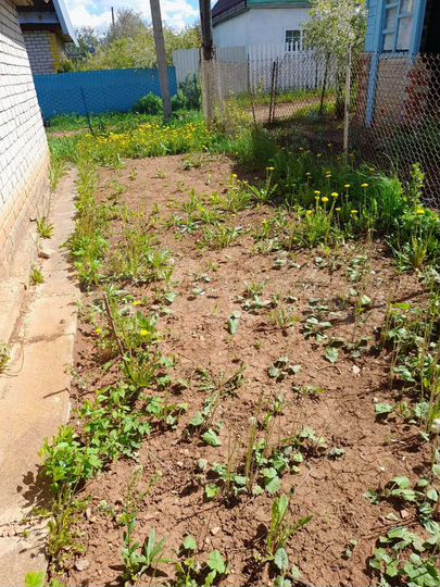 Дача 20 м² на участке 4 сот.