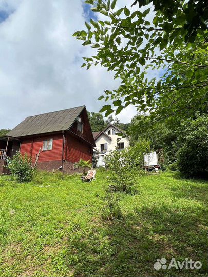 Передержка собак в домашних условиях