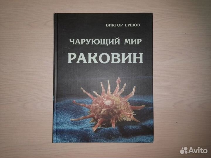Владимир Ершов. Чарующий мир раковин