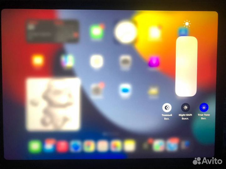 iPad pro 11 2021 m1 256gb