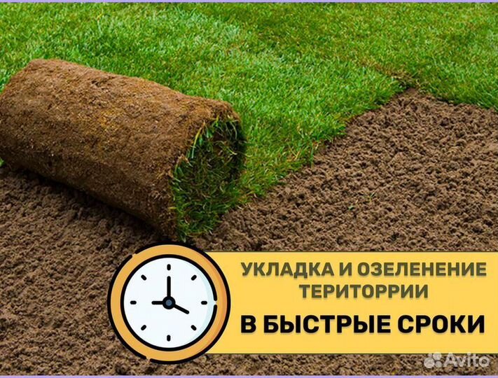 Элитный рулонный газон под ключ