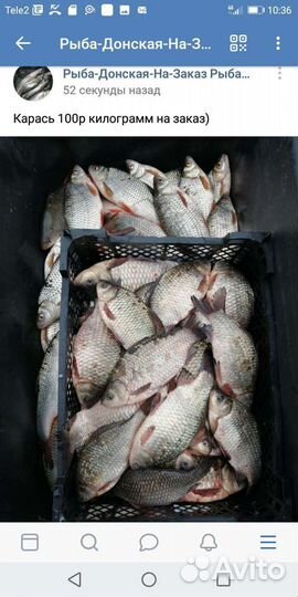 Продаём рыбку) карась, судак, щука