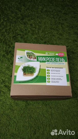 Набор для выращивания микрозелени