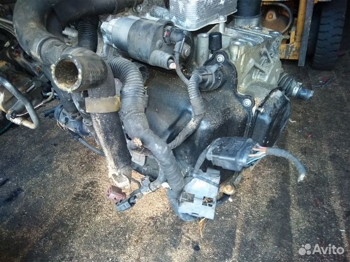 АКПП Volkswagen Volkswagen A3 1K1 BLG