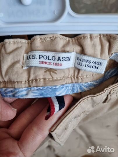 Шорты us polo