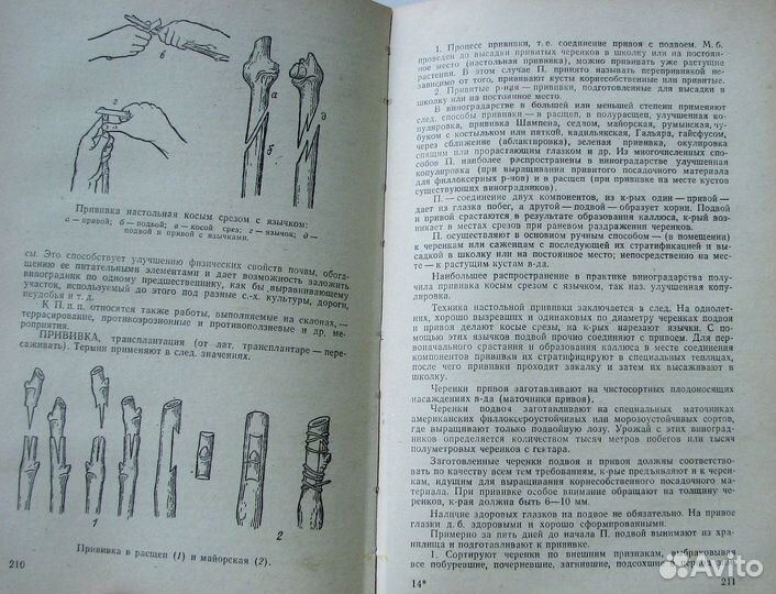Пелях М. Справочник виноградаря. (1982)