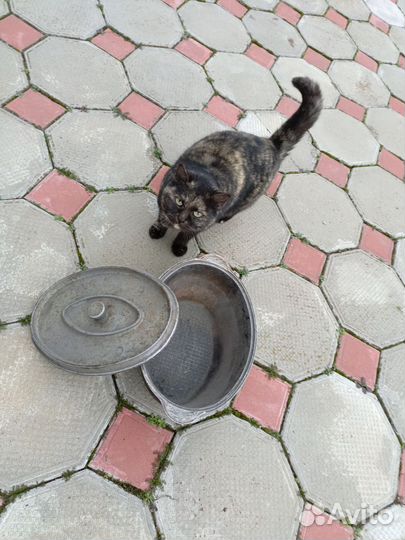 Утятница, сковорода, задвиж для печи, колун, лампа