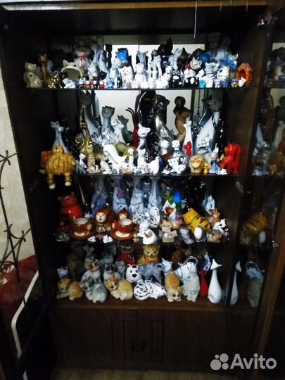 Коллекция кошек