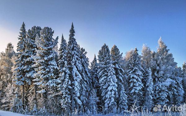 Участок 7261 га (промназначения)