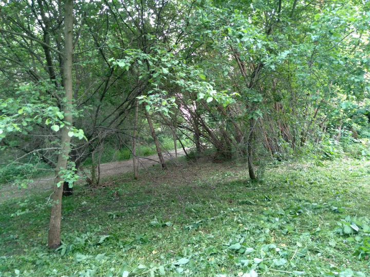 Участок 1,7 га (ИЖС)