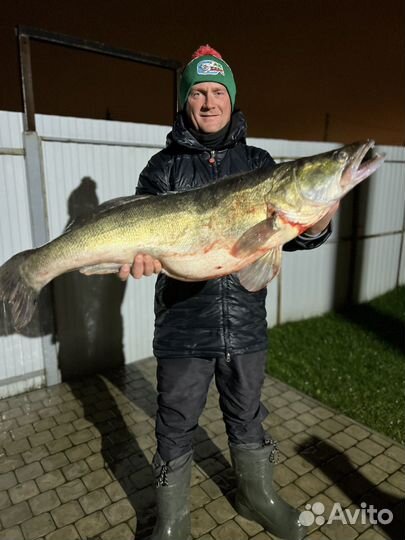 Рыбалка с гидом