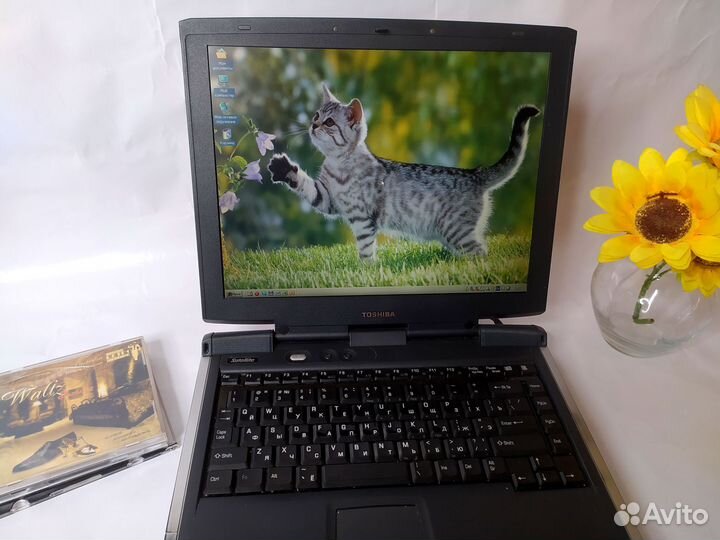 Ноутбук Toshiba s1410-604