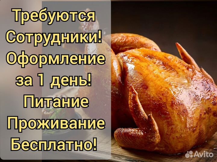 Работа упаковщик в г Шахты 15/30/45/60 жилой еда