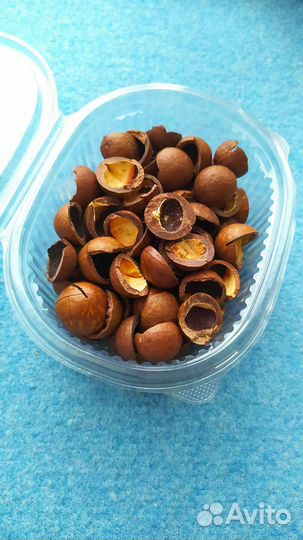Скорлупа ореха макадамия 180 граммов