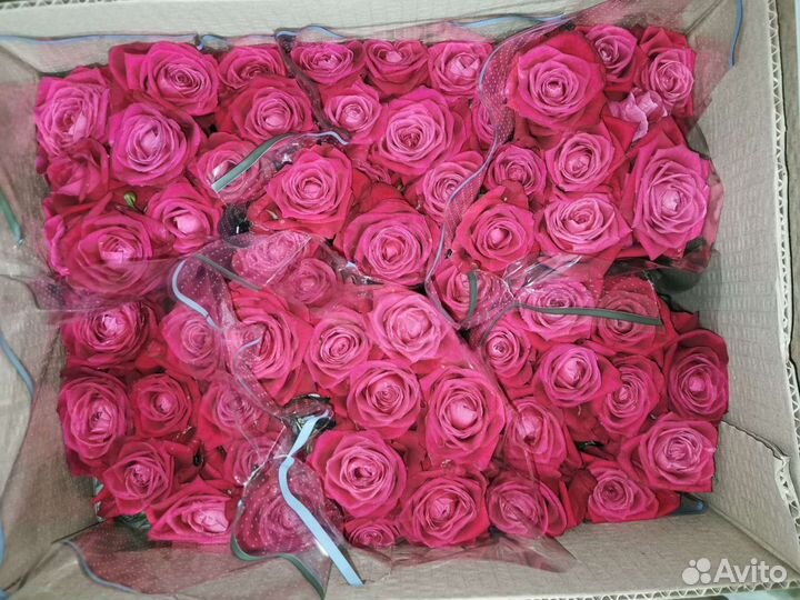 Букеты к 1сентября