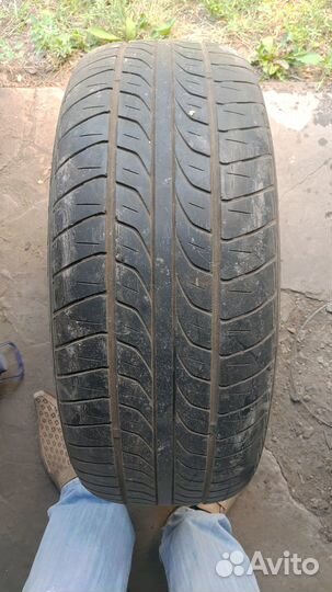 Toyo 310 205/60 R15