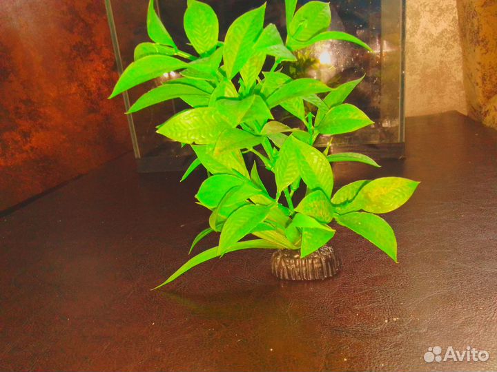 Аквариум для рыбов