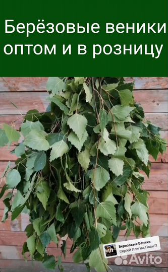 Березовые веники
