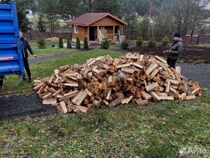 Дрова березовые