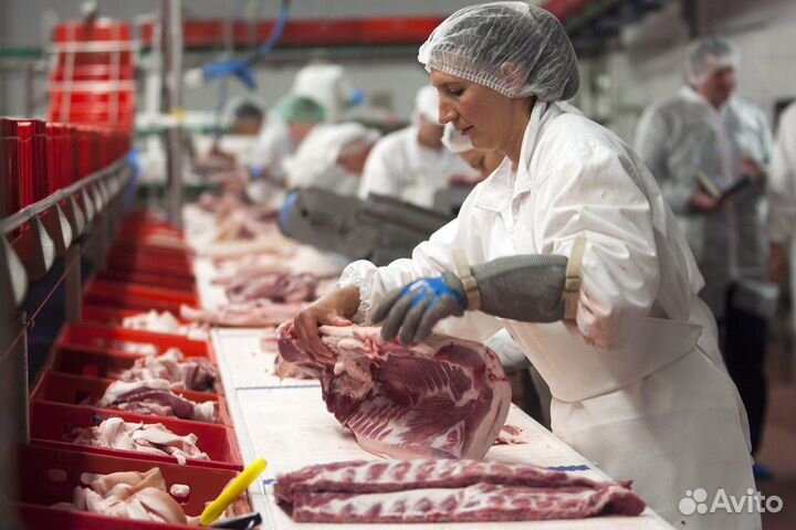 Разнорабочие вахта на мясокомбинат Воронежская обл
