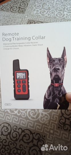 Ошейник для дресировки собак