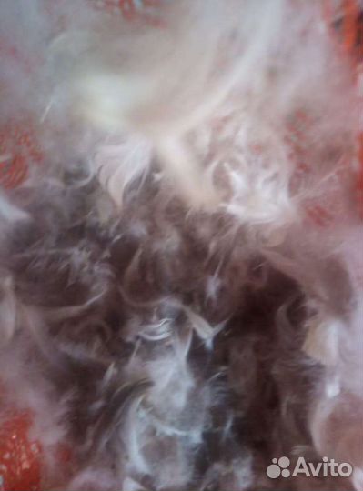 Пух, перо, подушки, перины.Б/У акку-ры.рога лося