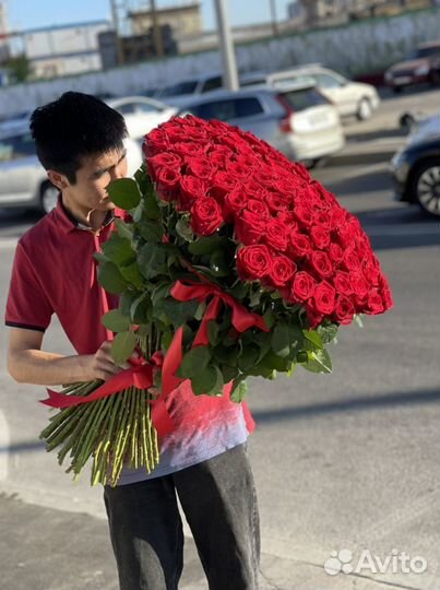 Цветы роза красная 51шт