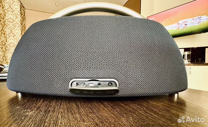 Harman kardon go play