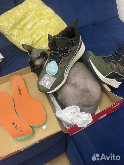 Зимние кросы Puma pecer next sb wtr.Оригинал