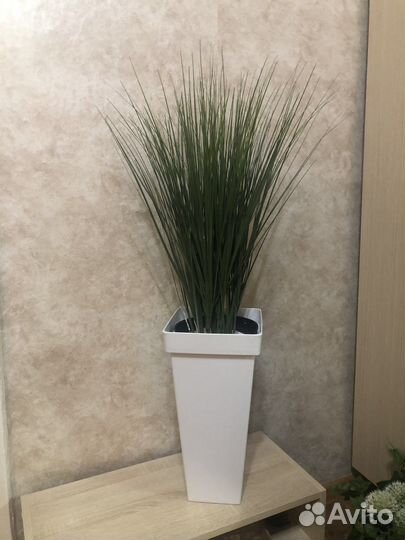 Искусственные растения