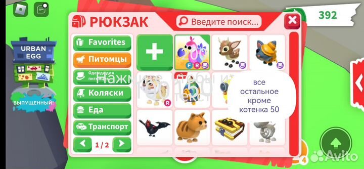 Петы и автомобили в адопт Ми