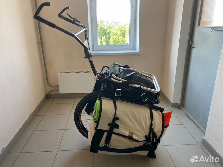 Пиконь выживальщика