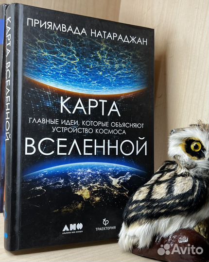 Натараджан П. Карта Вселенной. Главные идеи, котор