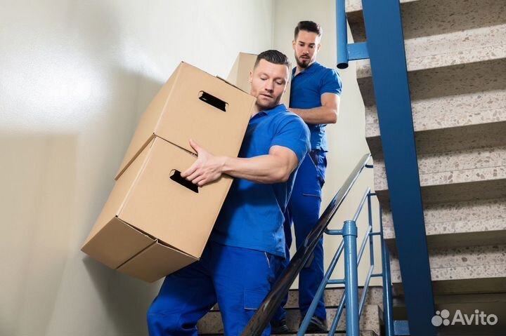 Грузчик на склад ежедневная оплата