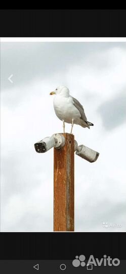 Установка Видеонаблюдения