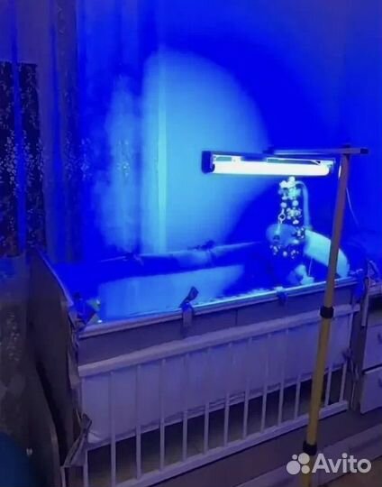 Фотолампа Philips для лечения желтушки проkaт