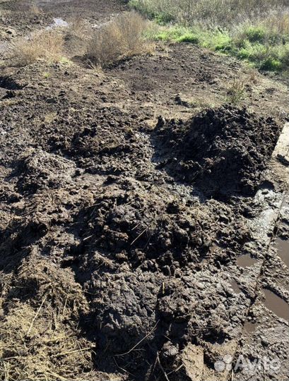 Отдам Навоз крс бесплатно