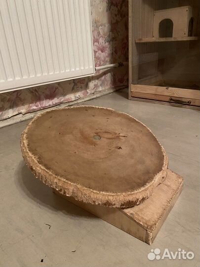 Беговой диск для шиншилл