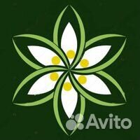 Охранник 4 разряд