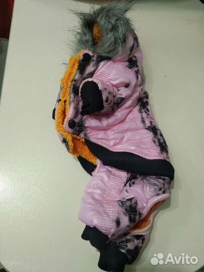 Одежда для животных