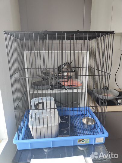Клетка для грызунов большая