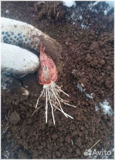 Привлекаю инвестиции для масштабирования произ-ва