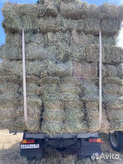 Сено и солома