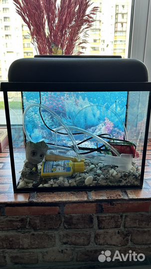 Аквариум