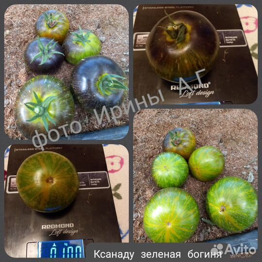 Семена томатов 